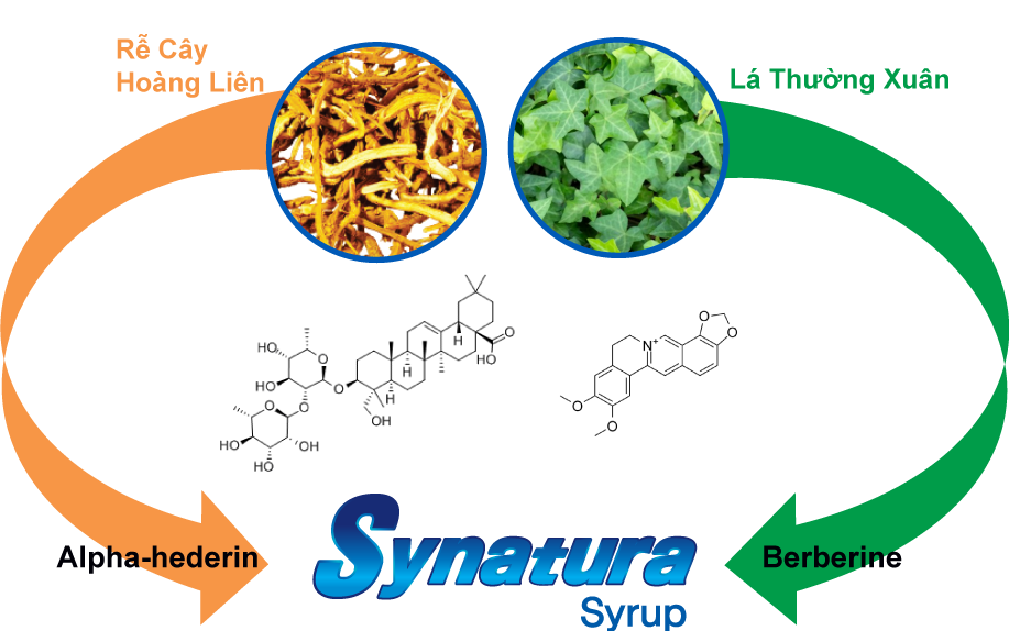 Hoàng Liên Và Thường Xuân