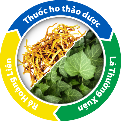 Hoàng Liên Và Thường Xuân