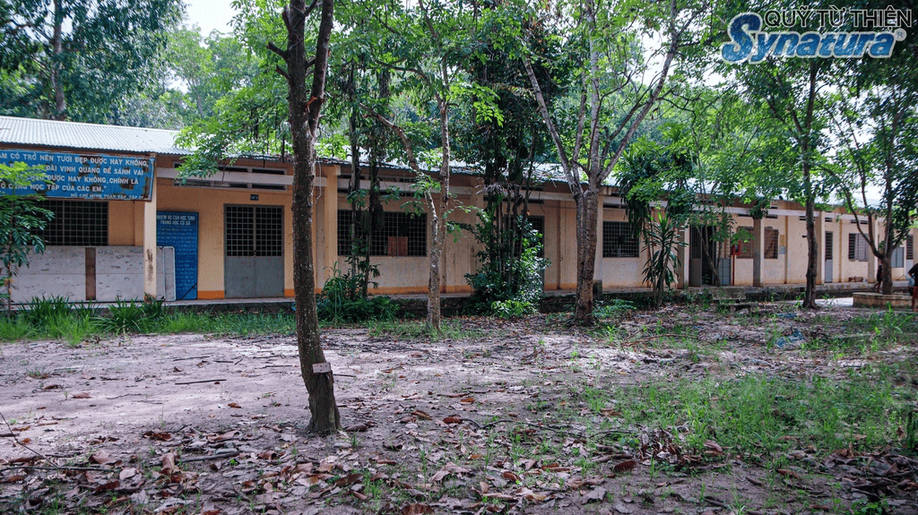 Một góc sân trường giản dị, nơi chuẩn bị đón nhận buổi thiện nguyện đầy ý nghĩa