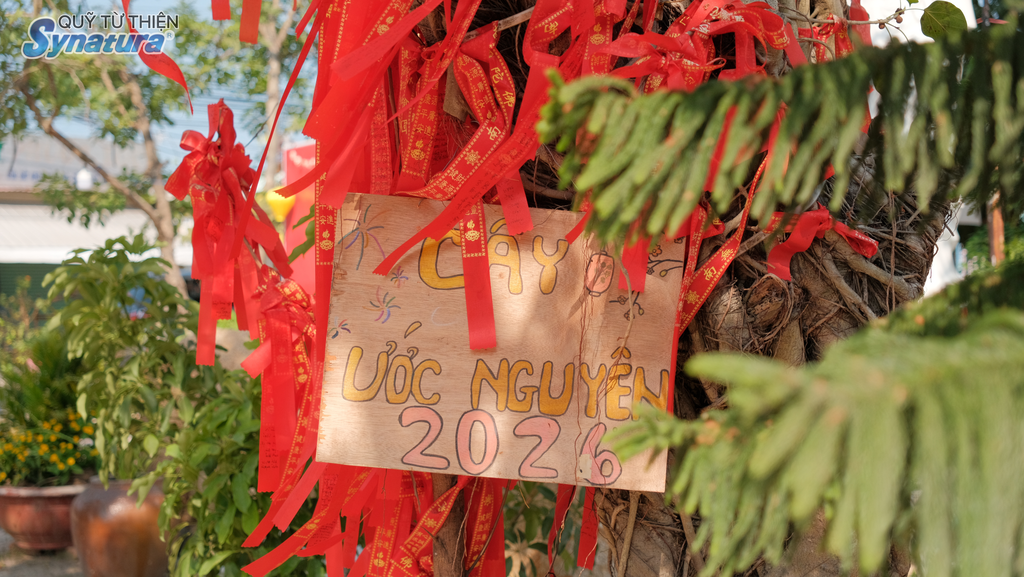 Cây Ước Nguyện 2026 – nơi những điều ước nhỏ bé được gửi gắm